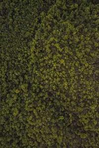 模拟人生苹果版破解版-第3张图片-太平洋在线下载 模拟人生苹果版破解版-第3张图片-太平洋在线下载