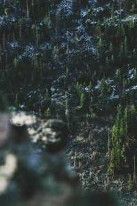 逃生手机版下载-第2张图片-太平洋在线下载 逃生手机版下载-第2张图片-太平洋在线下载