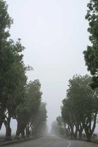 借易得苹果版下载-第1张图片-太平洋在线下载 借易得苹果版下载-第1张图片-太平洋在线下载