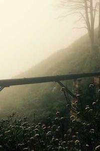 苹果XS大陆版和港澳版-第3张图片-太平洋在线下载 苹果XS大陆版和港澳版-第3张图片-太平洋在线下载