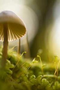 苹果版ps怎么使用-第2张图片-太平洋在线下载 苹果版ps怎么使用-第2张图片-太平洋在线下载