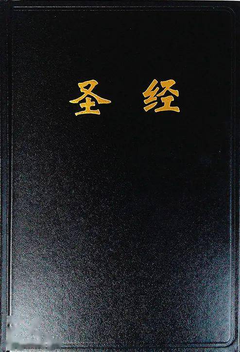 下载安卓鸽子版圣经读圣经鸽子版下载安装-第2张图片-太平洋在线下载