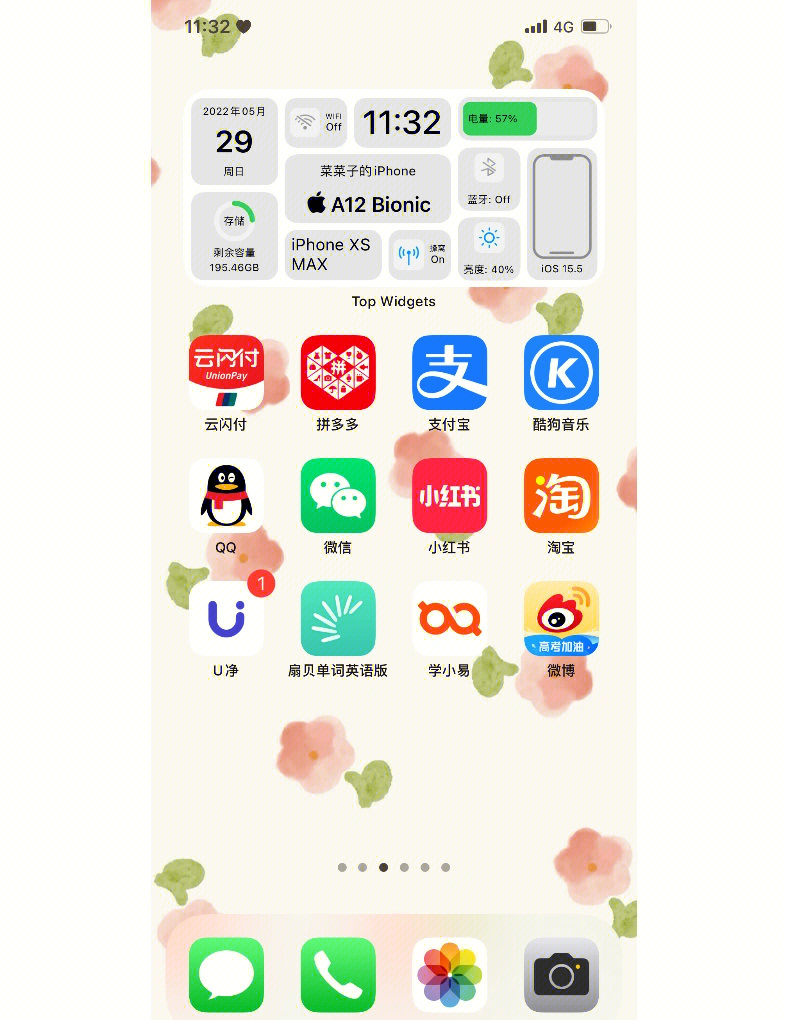来自iphonexs客户端iphonexs打开开发者功能-第2张图片-太平洋在线下载