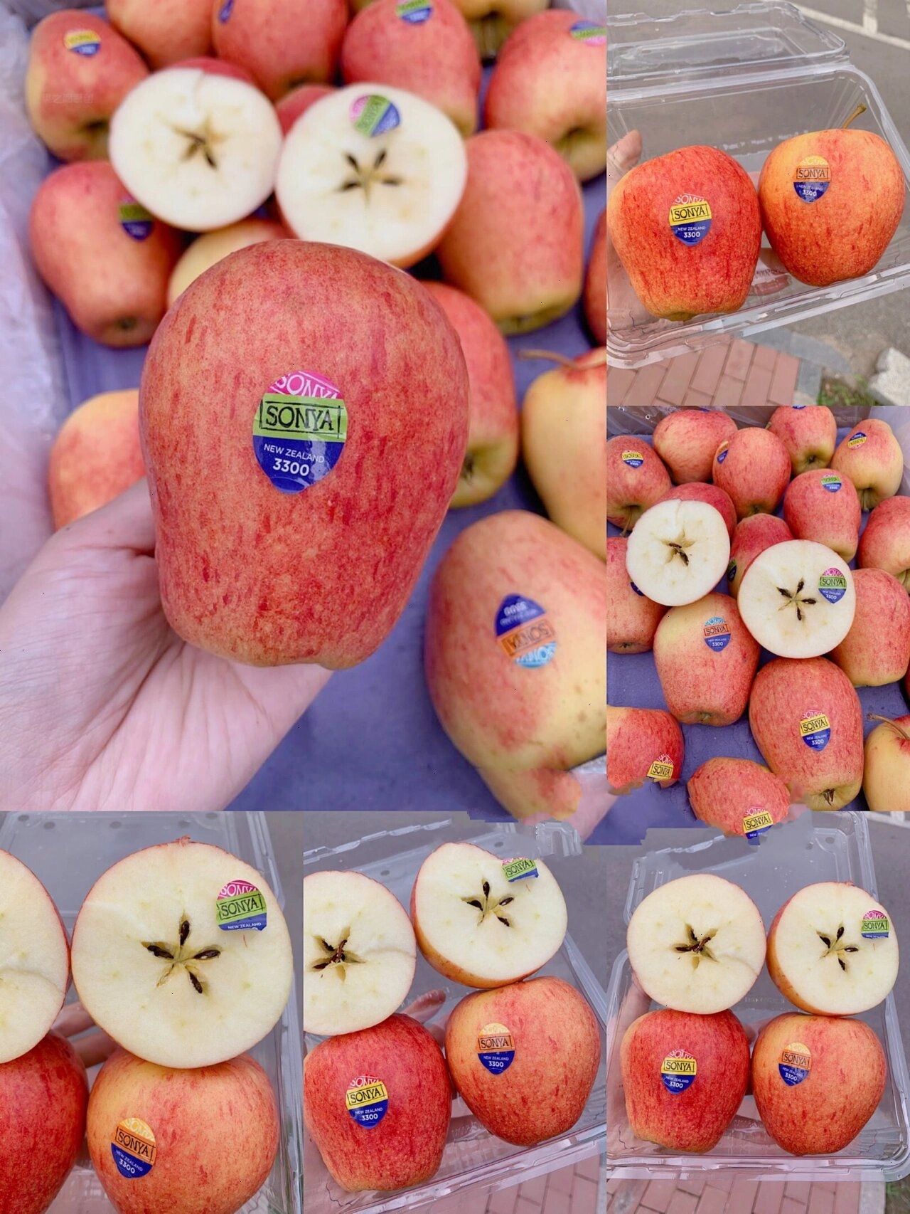 aaa版苹果(aaa for apple)-第1张图片-QuickQ官网