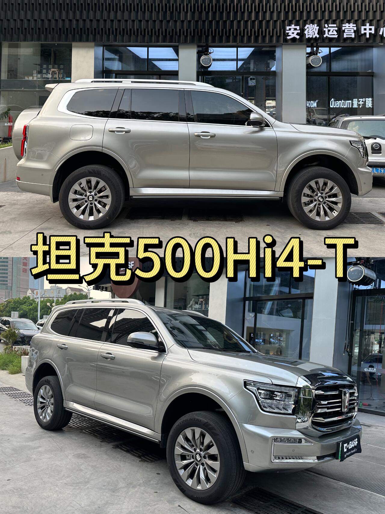 dazhi500手机版(大只500手机版莫6668318)