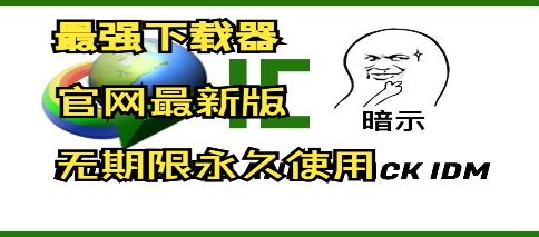 idm苹果版(idm下载app)