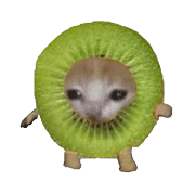 喵版苹果(喵咪苹果下载地址)-第5张图片-QuickQ官网