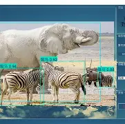 UUCALL手机版动物(uucall安卓版最新下载)-第4张图片-QuickQ官网