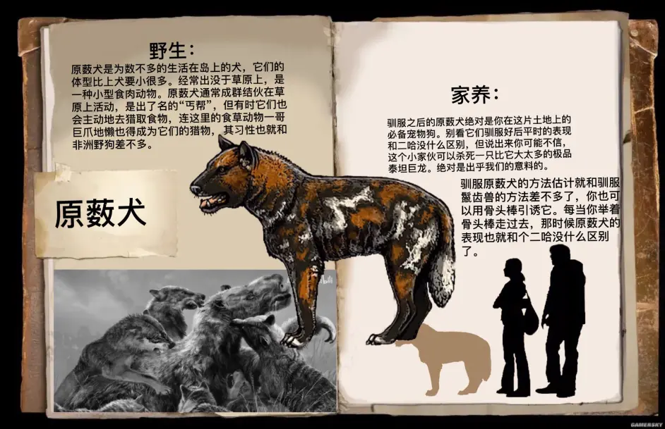 手机版方舟驯服宠物代码(方舟生存进化手机版驯服代码)-第5张图片-QuickQ官网