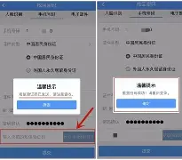 手机版头条怎么找回密码(头条号密码忘记,手机也换啦)-第1张图片-QuickQ官网